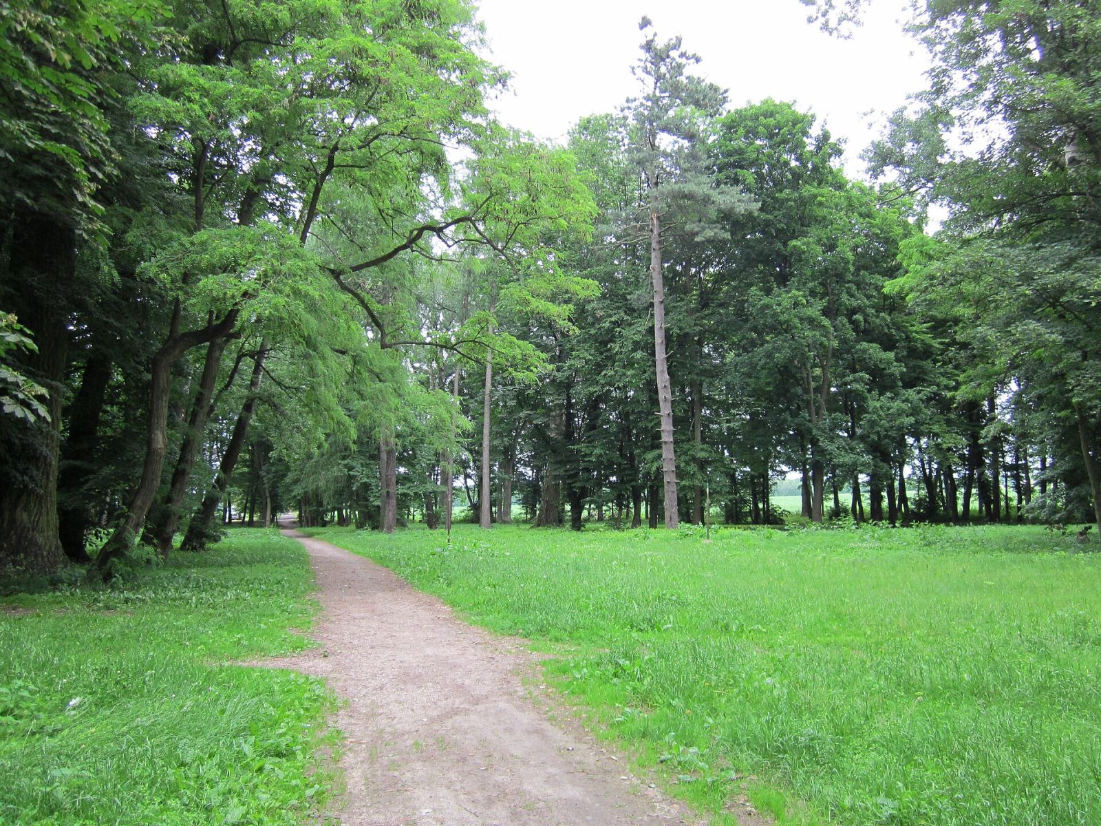Park dworski, Szepietowo-Wawrzyńce