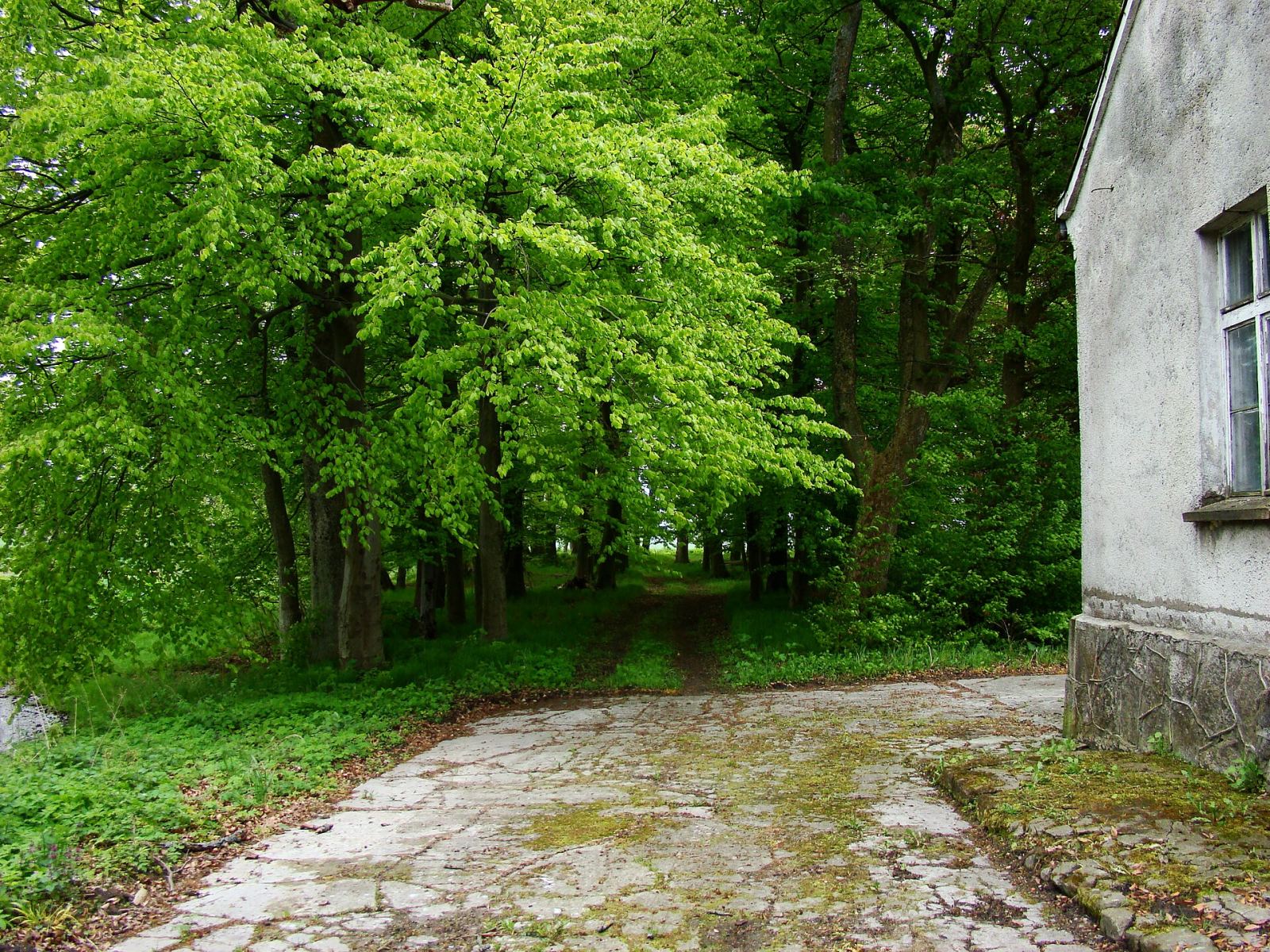 Park, Pustary