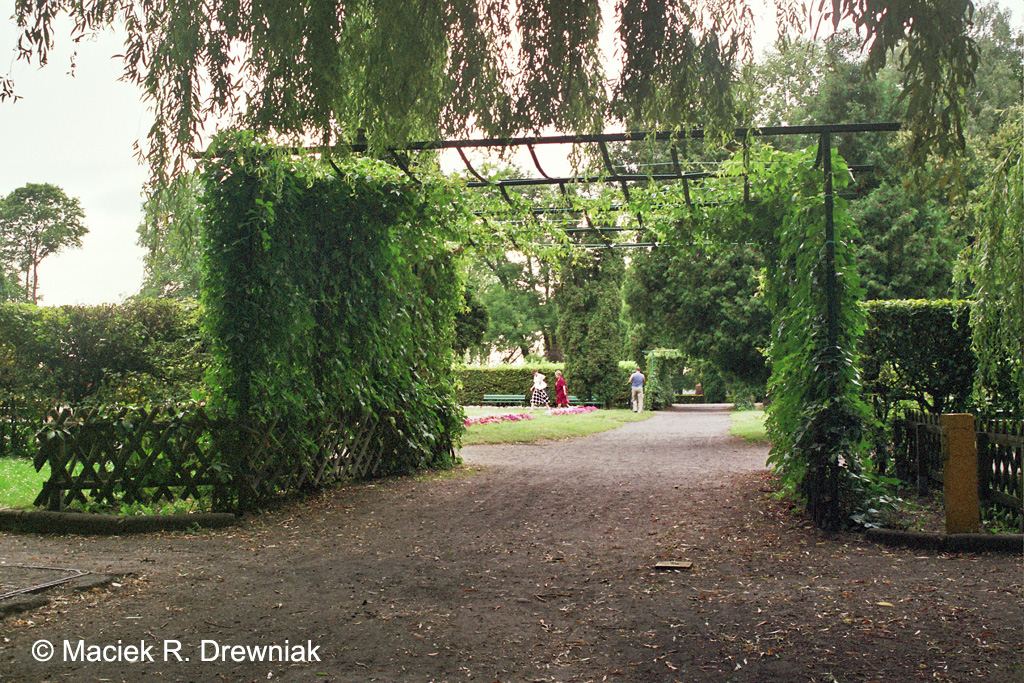 Park miejski, Szczecinek