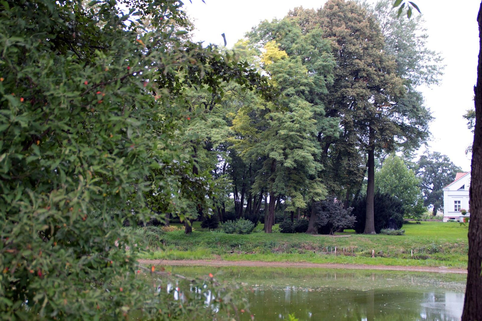 Park, Grabianowo