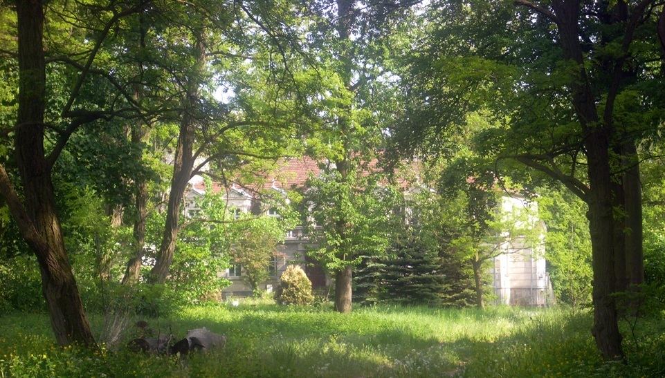 Park, Buszewo