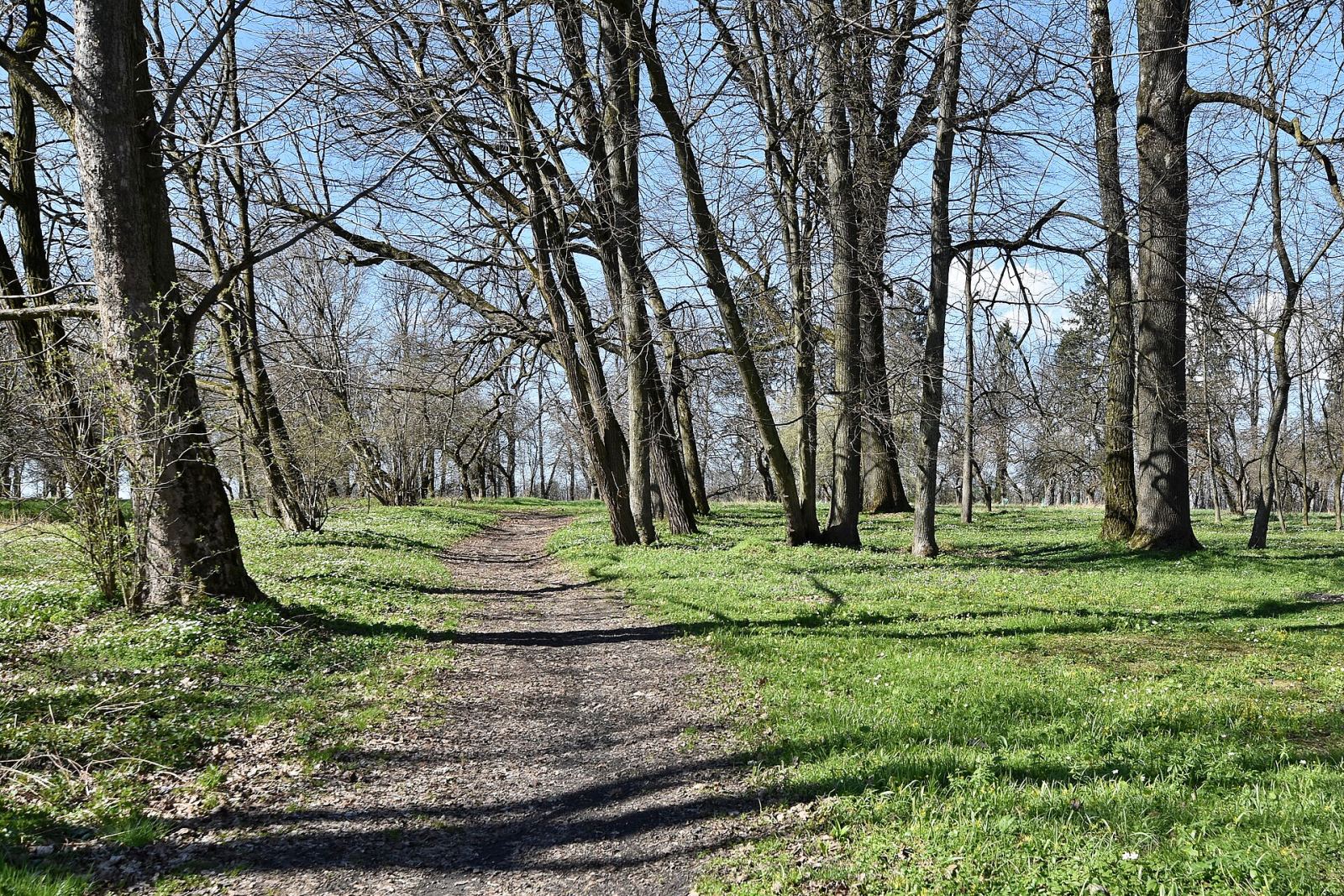 Park, Bzianka