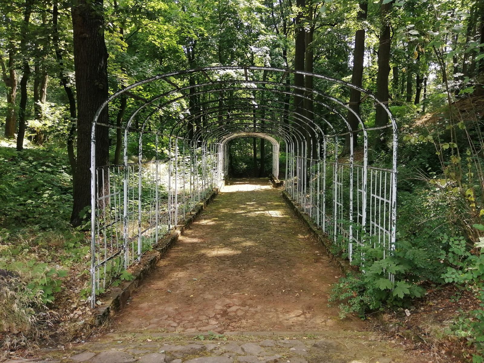 Pergola, Tarnowskie Góry