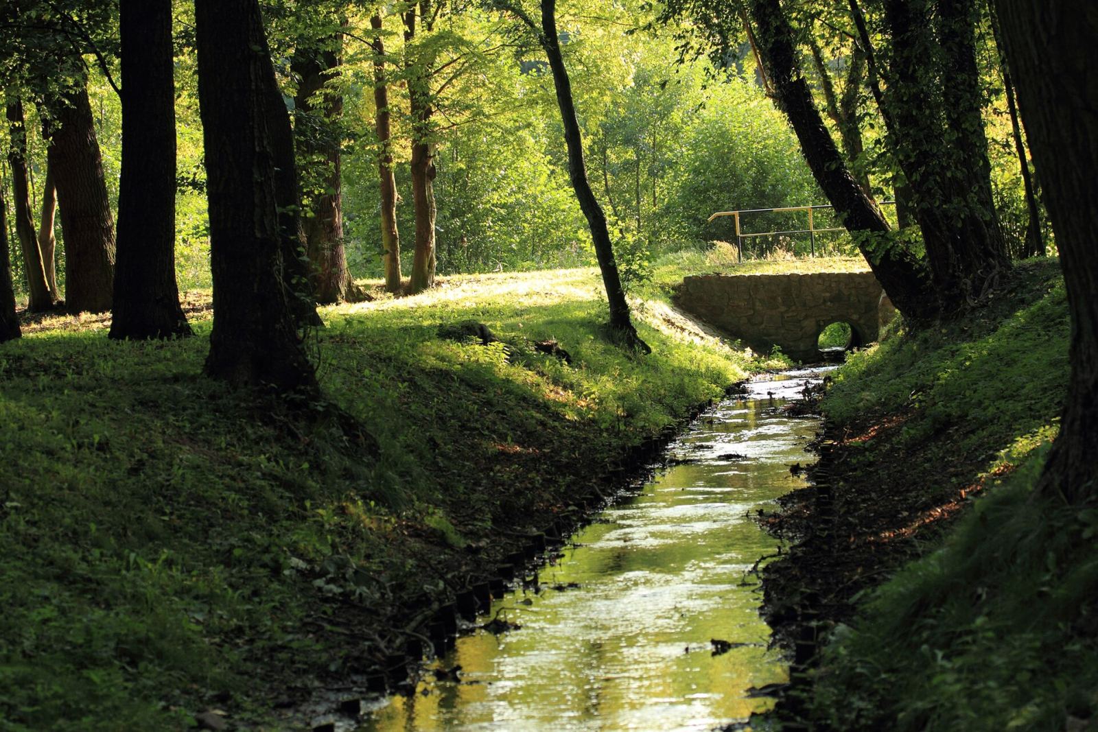 Park, Kaźmierzów