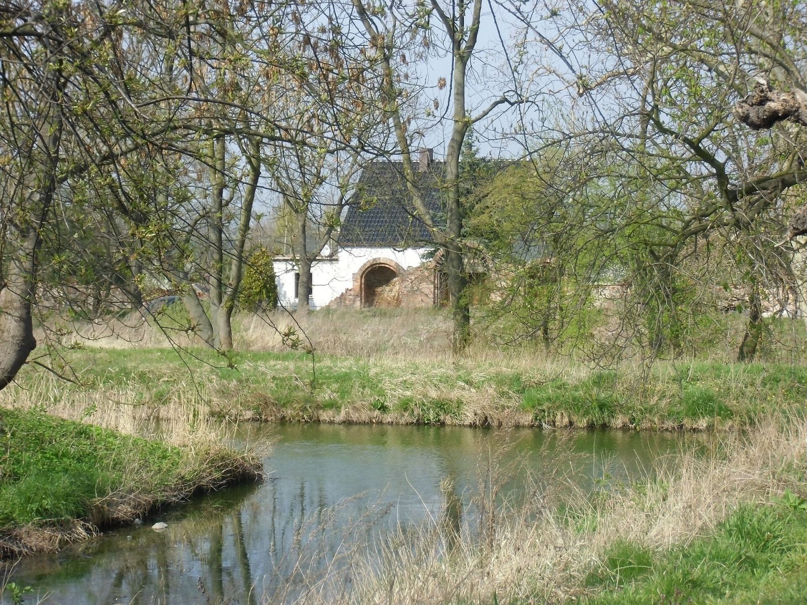Park pałacowy, Dłużyce