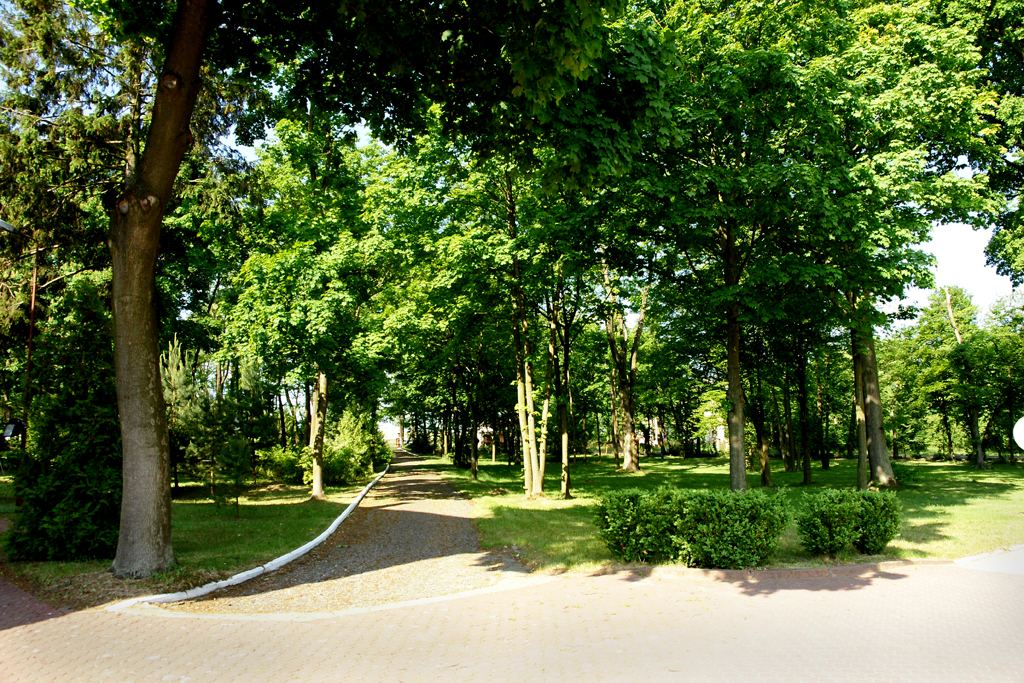 Park pałacowy, Rożdżały