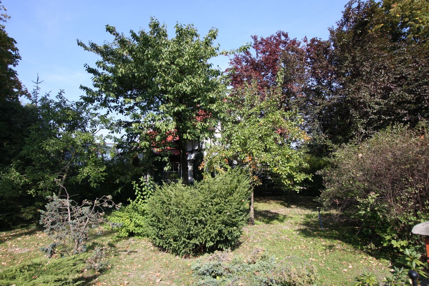 Ogród, Rakoniewice
