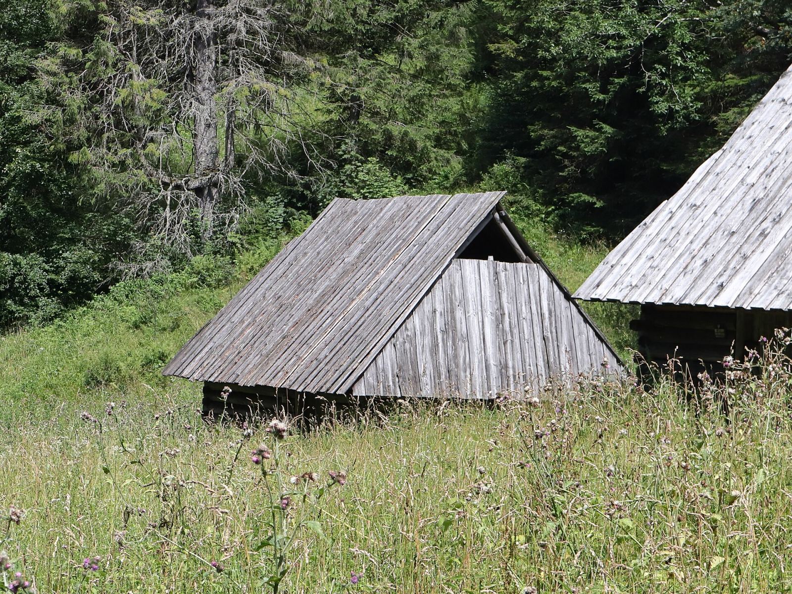Szałas inwentarski, Zakopane
