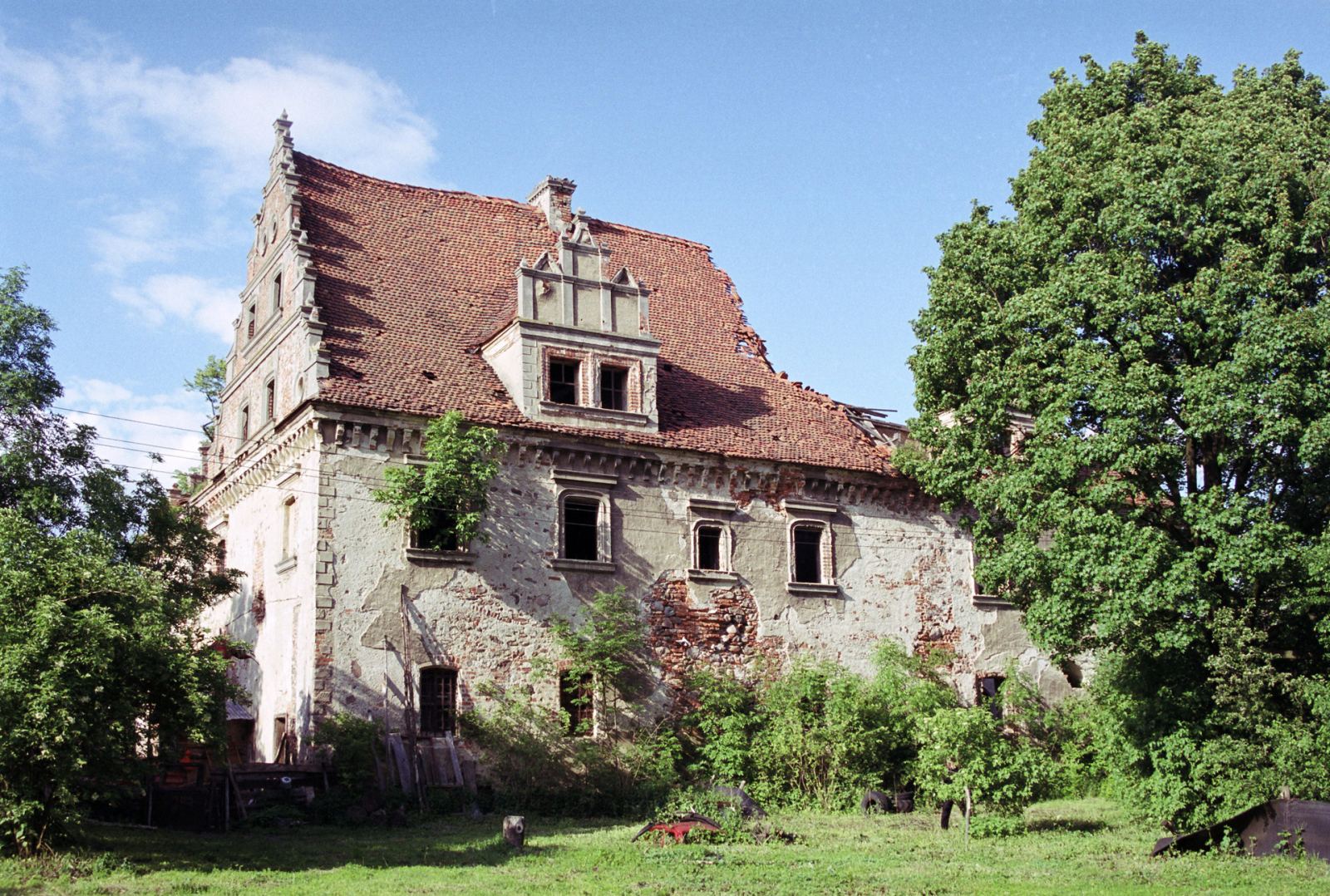 Pałac, Dziewin