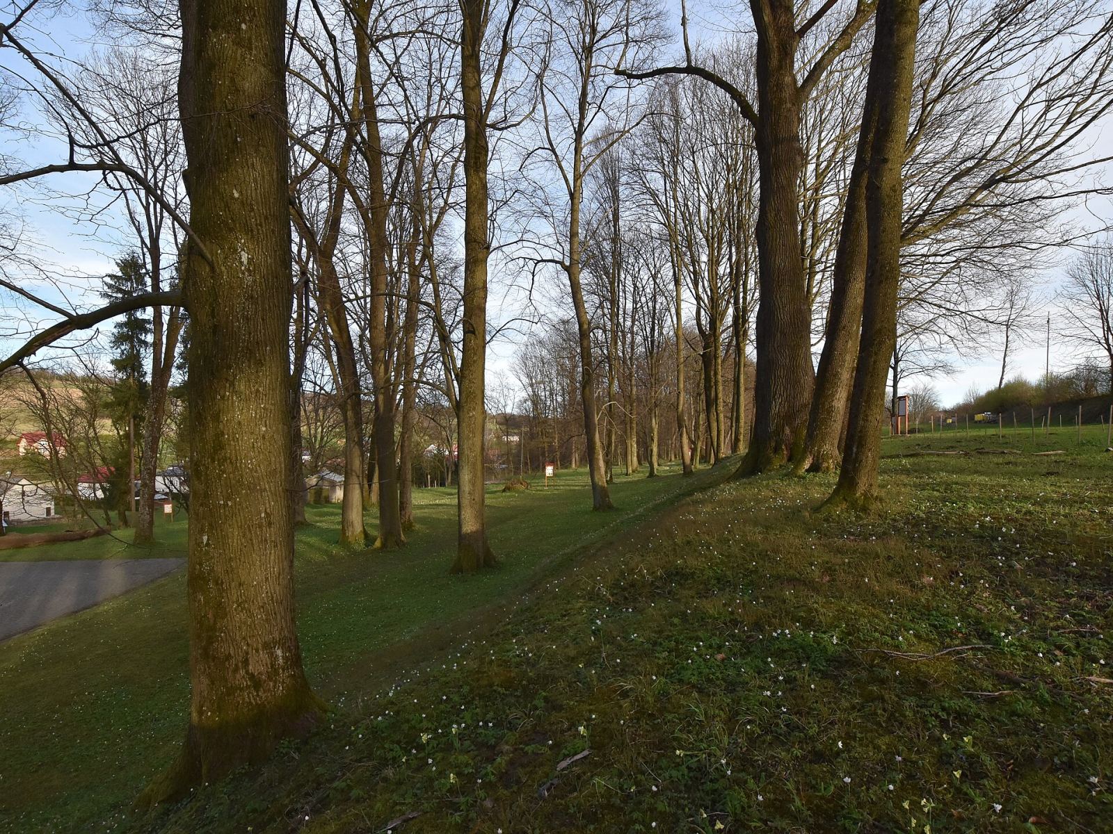Park, Izdebki