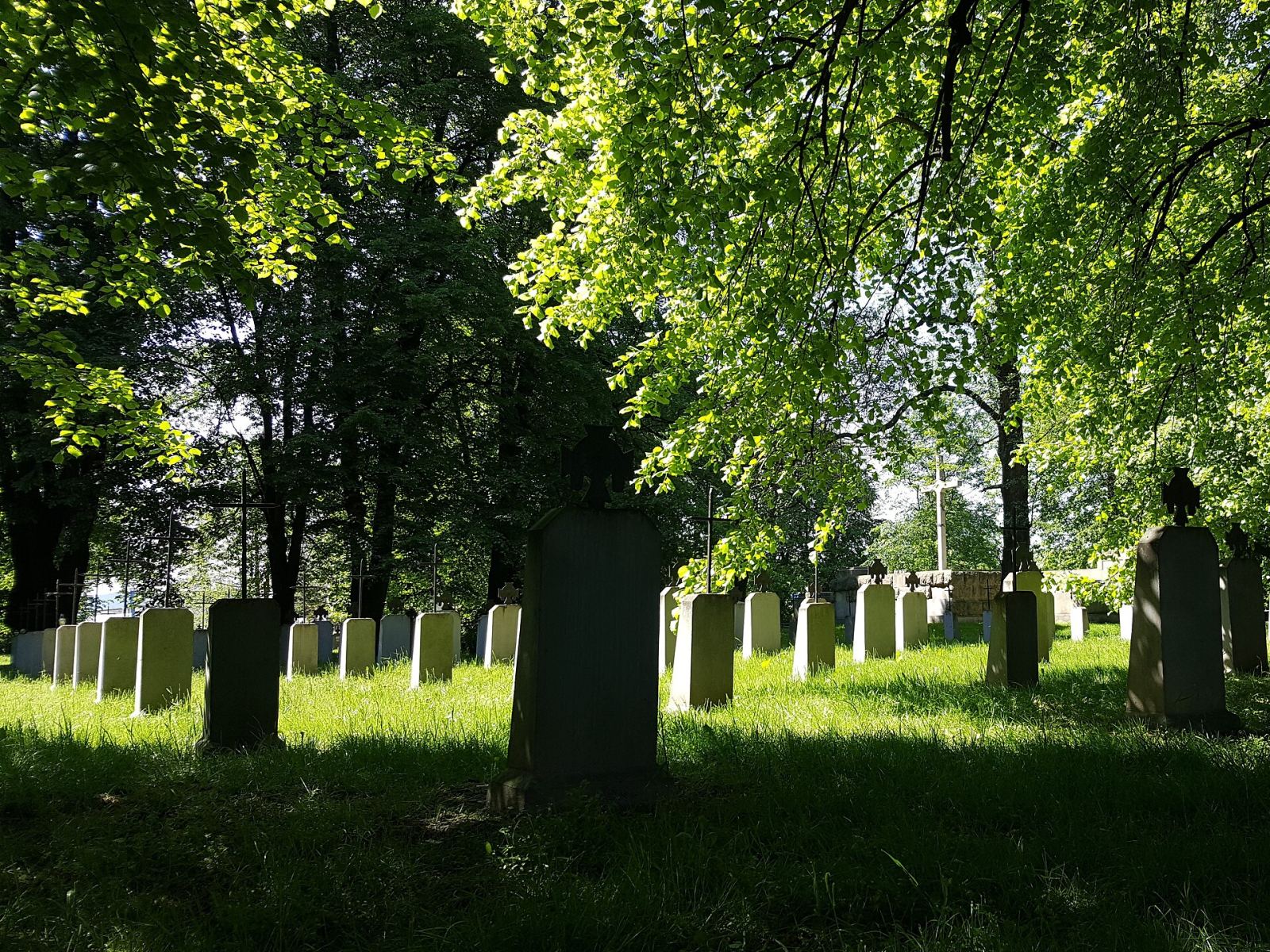Cmentarz wojenny nr 200 z I wojny światowej, Tarnów