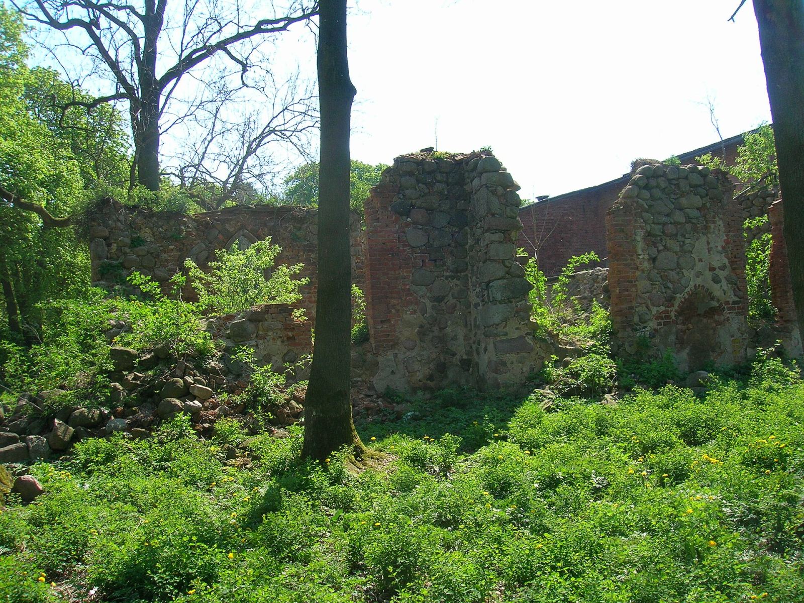 Ruina kościoła, Czachowo