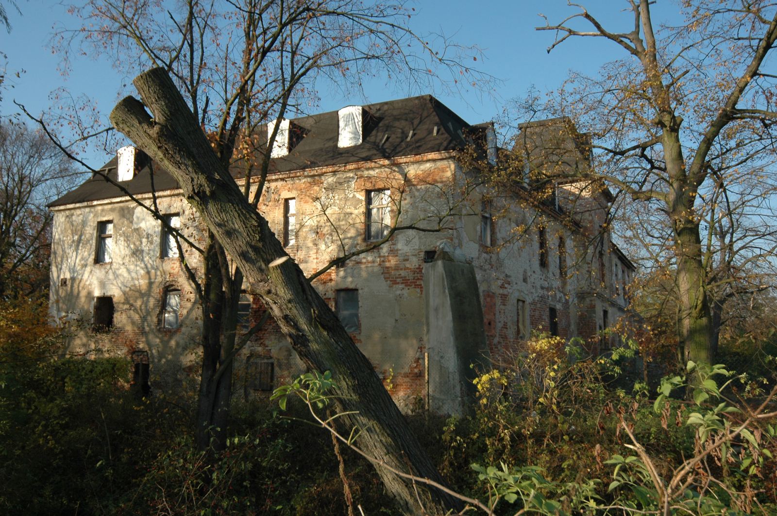 Pałac, Komorowice