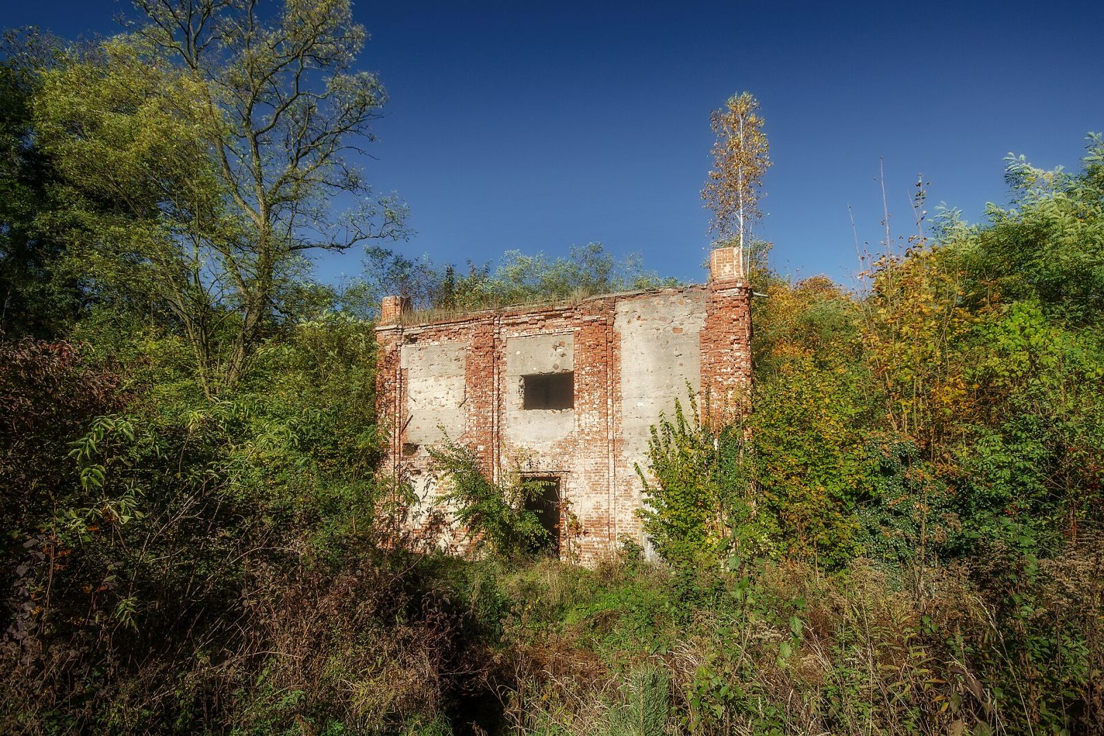 Ruina pałacu, Raszowa