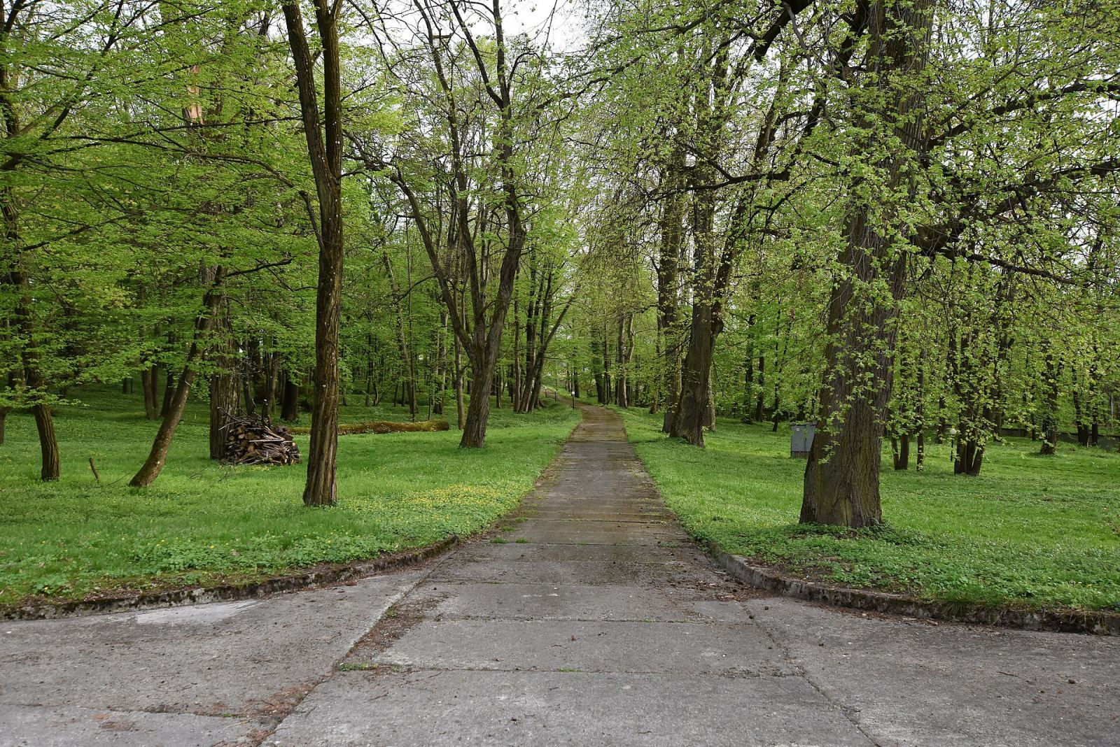 Park, Parkosz