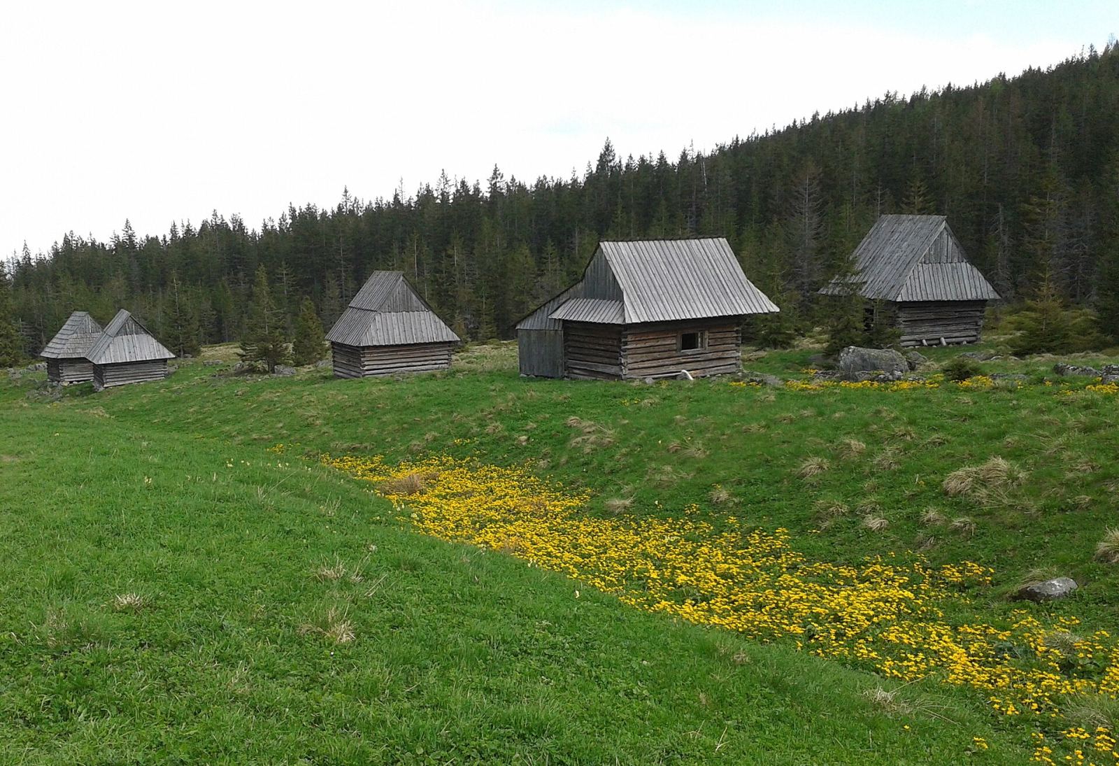 Zespół szałasów na Polanie Kopieniec, Zakopane
