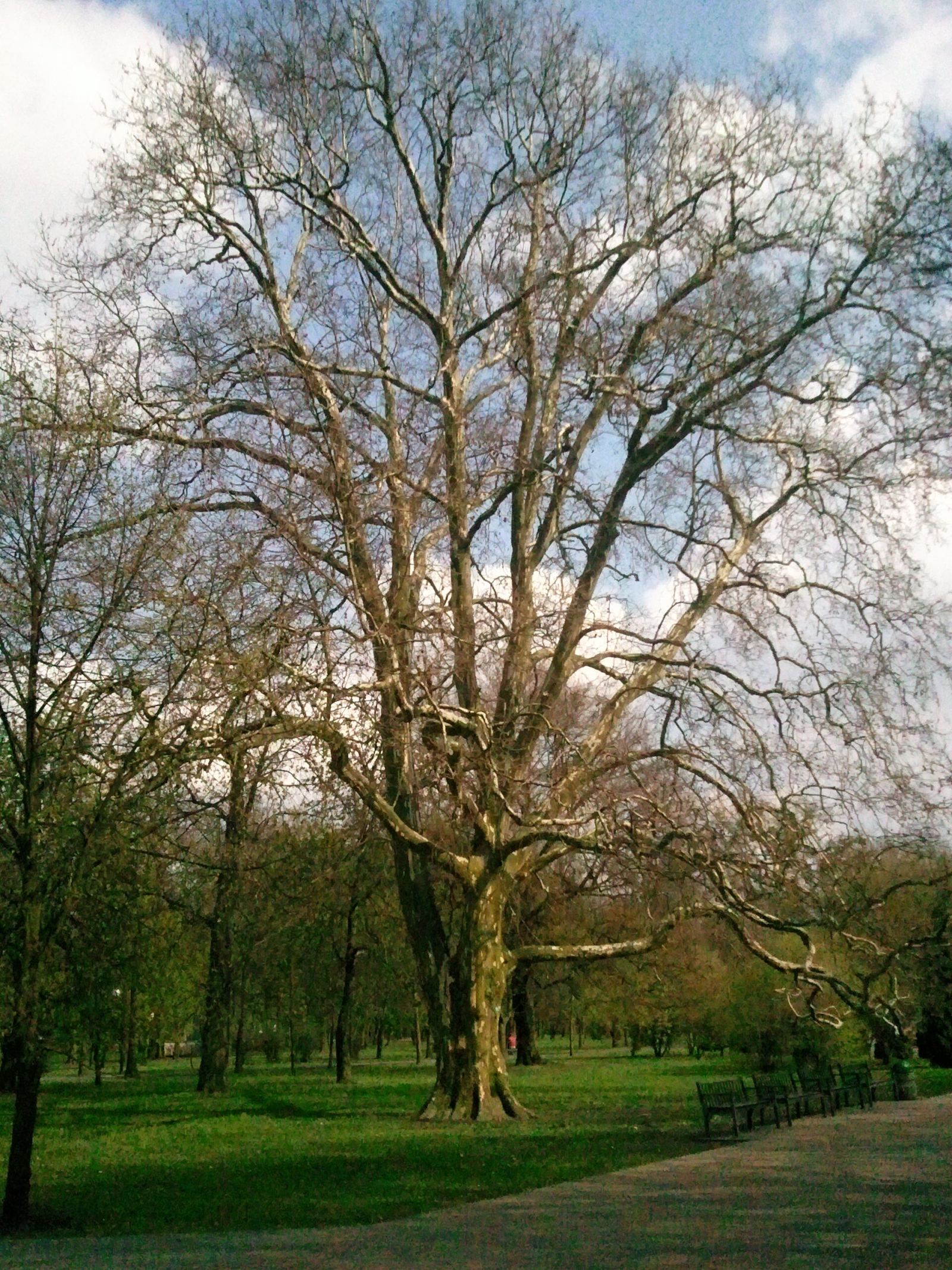 Park, ob. miejski im. Dzieci Wrzesińskich, Września