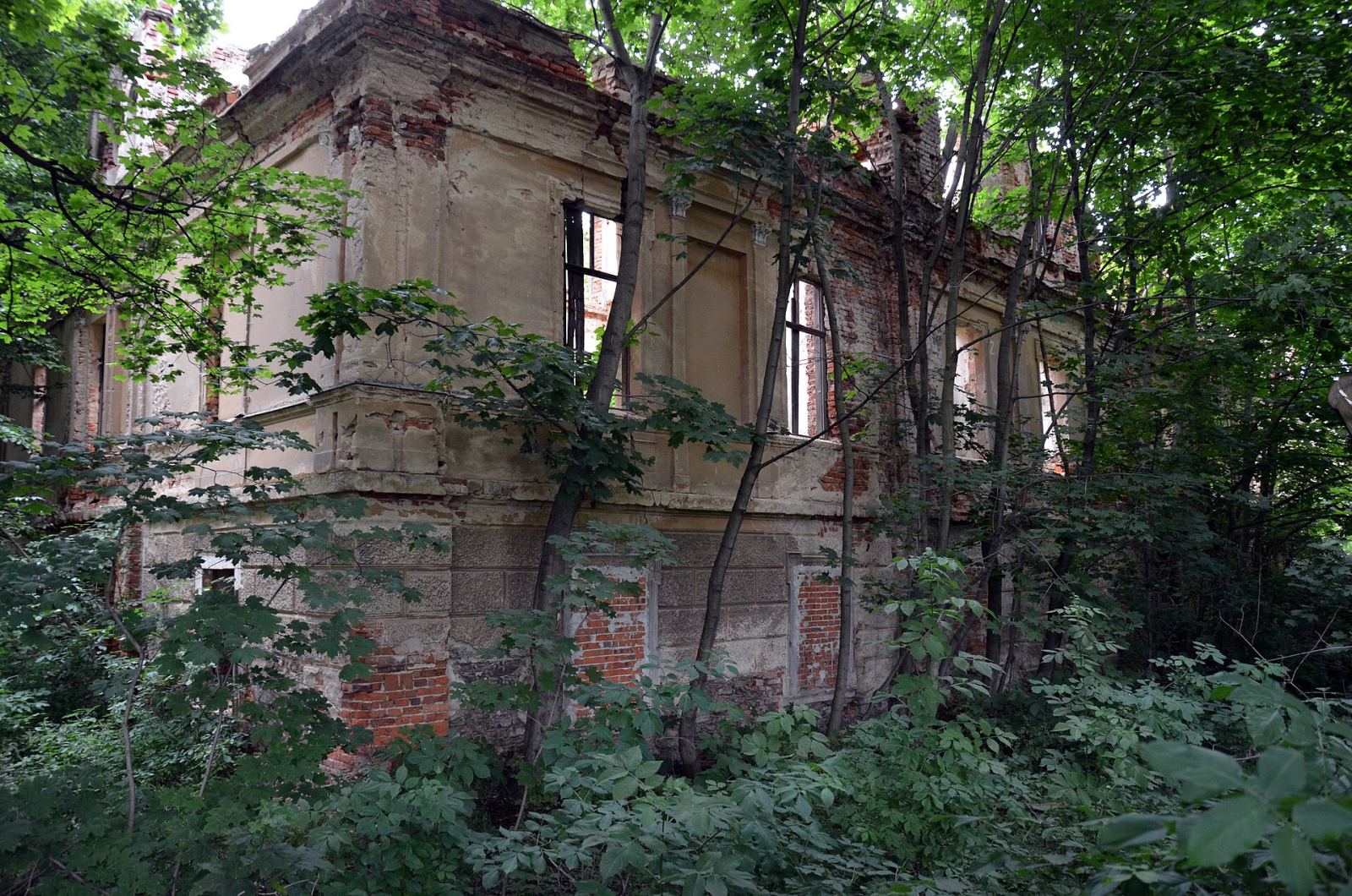 Pałac, Bronów