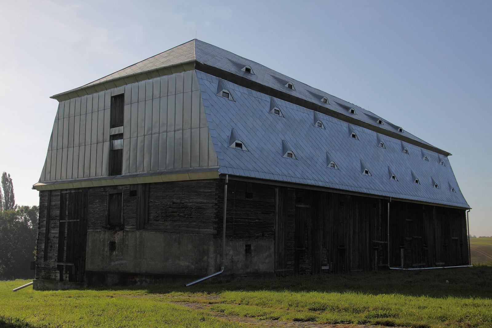 Spichlerz dworski, Strzybnik