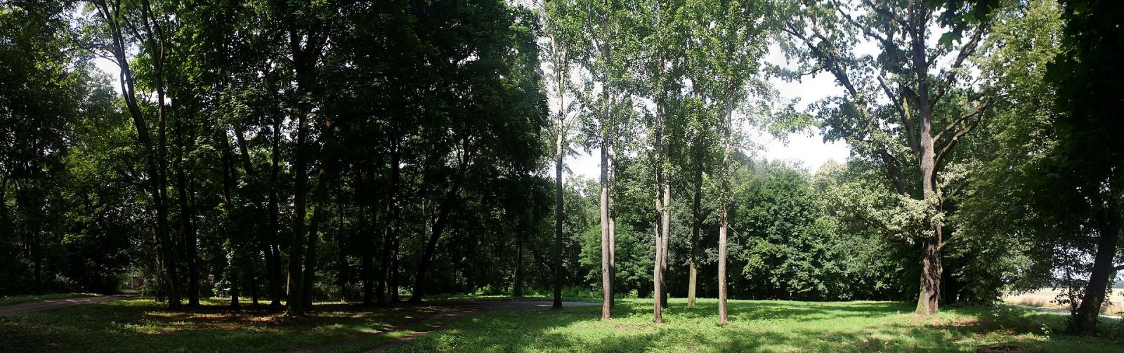Park, Szydłów