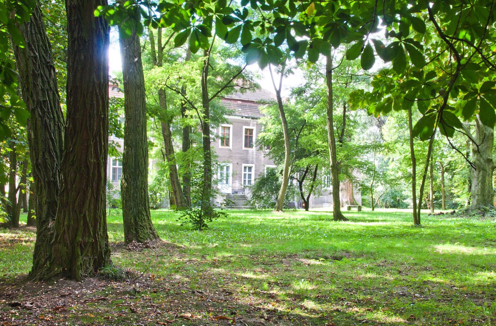Park pałacowy, Powodowo