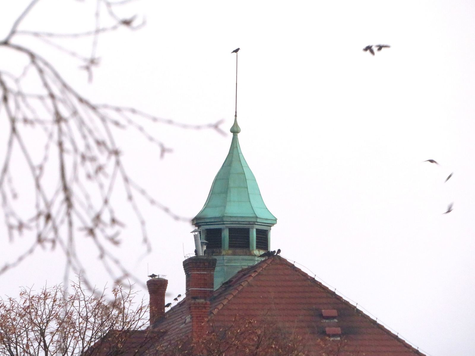 Szkoła, Racibórz