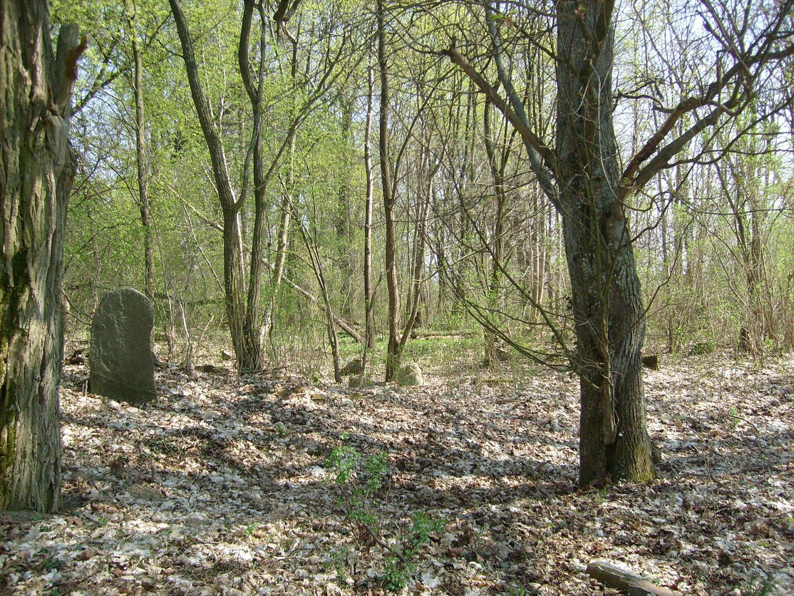 Cmentarz żydowski, Człopa