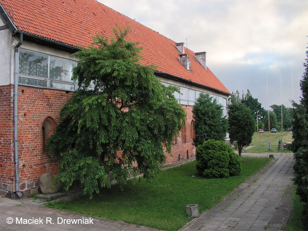 Refektarz konwersów, zachodnie skrzydło klasztoru cystersów, Kołbacz