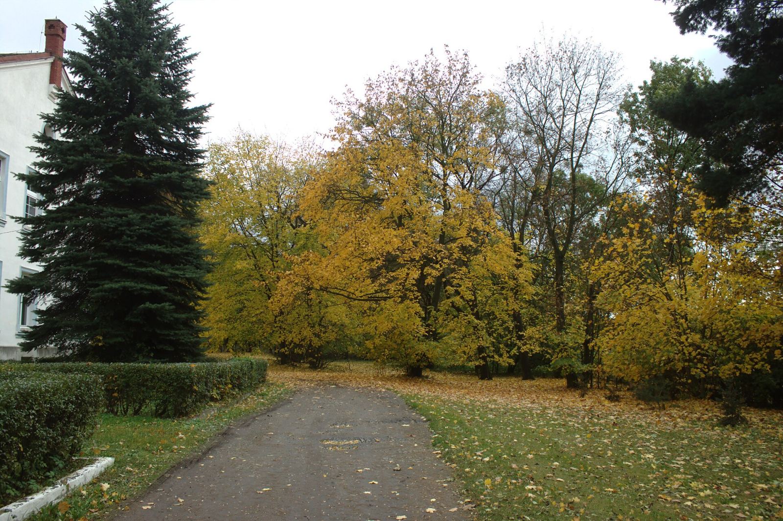 Park, Steblów