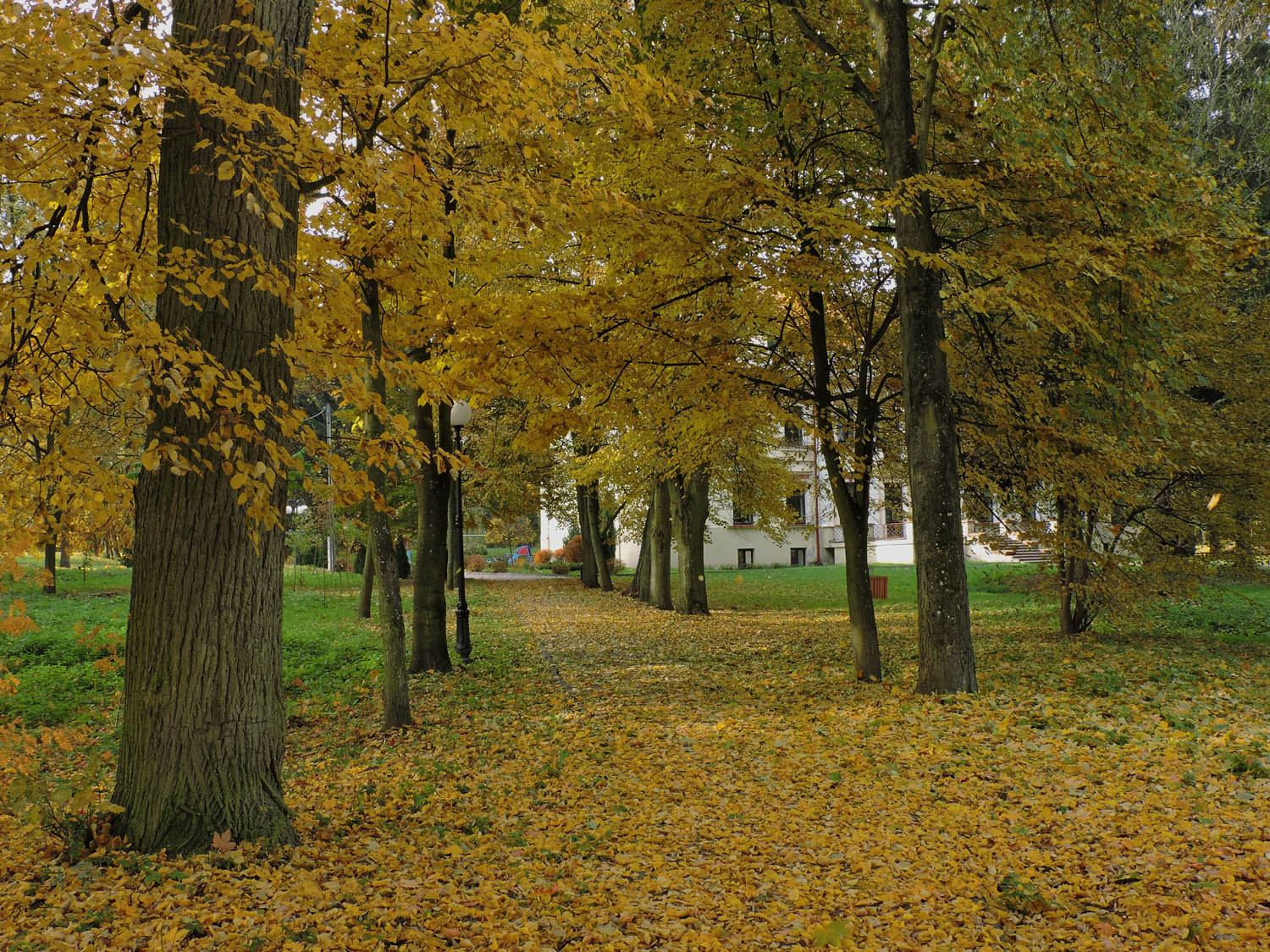 Park, Promna