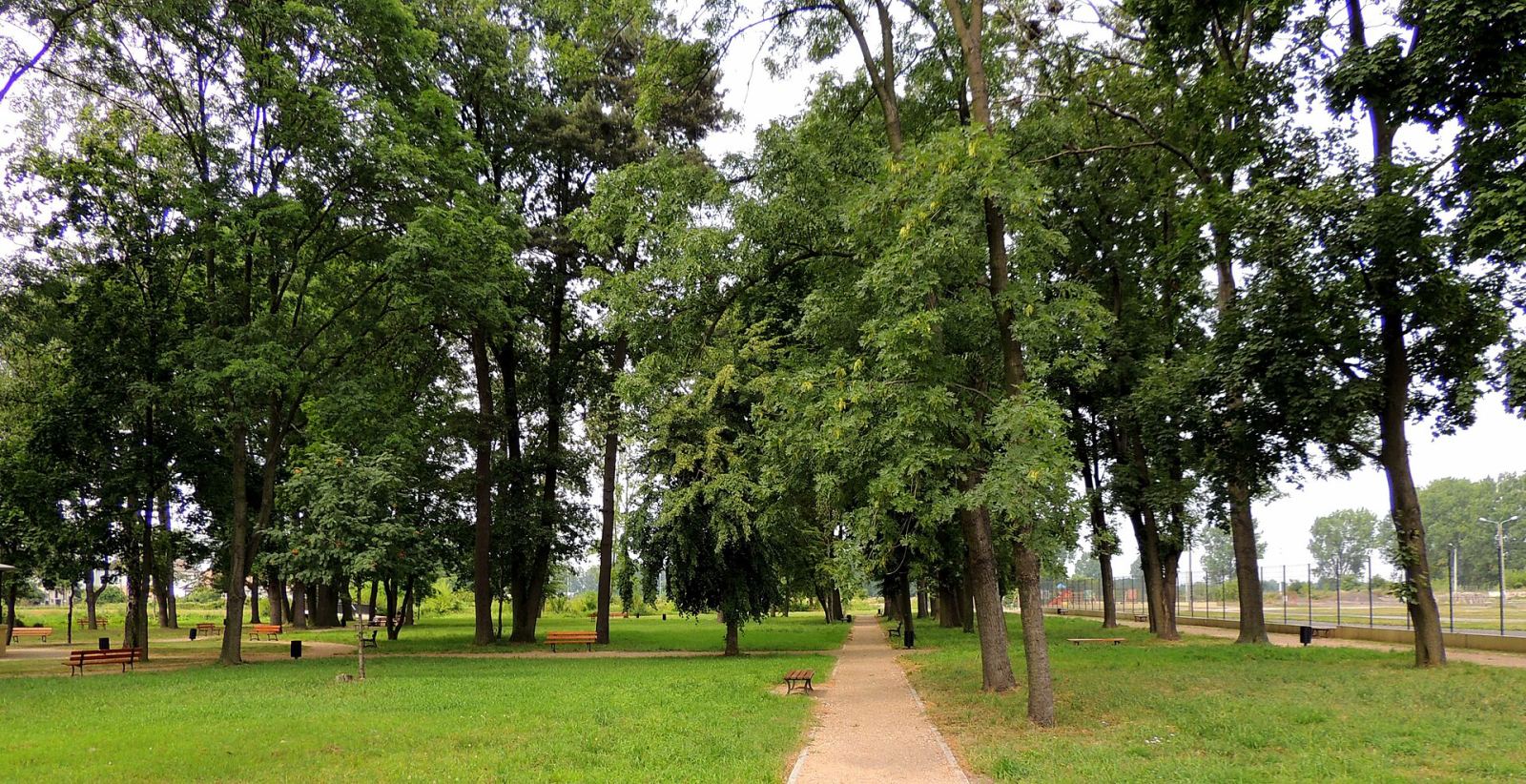 Park miejski, Piątek