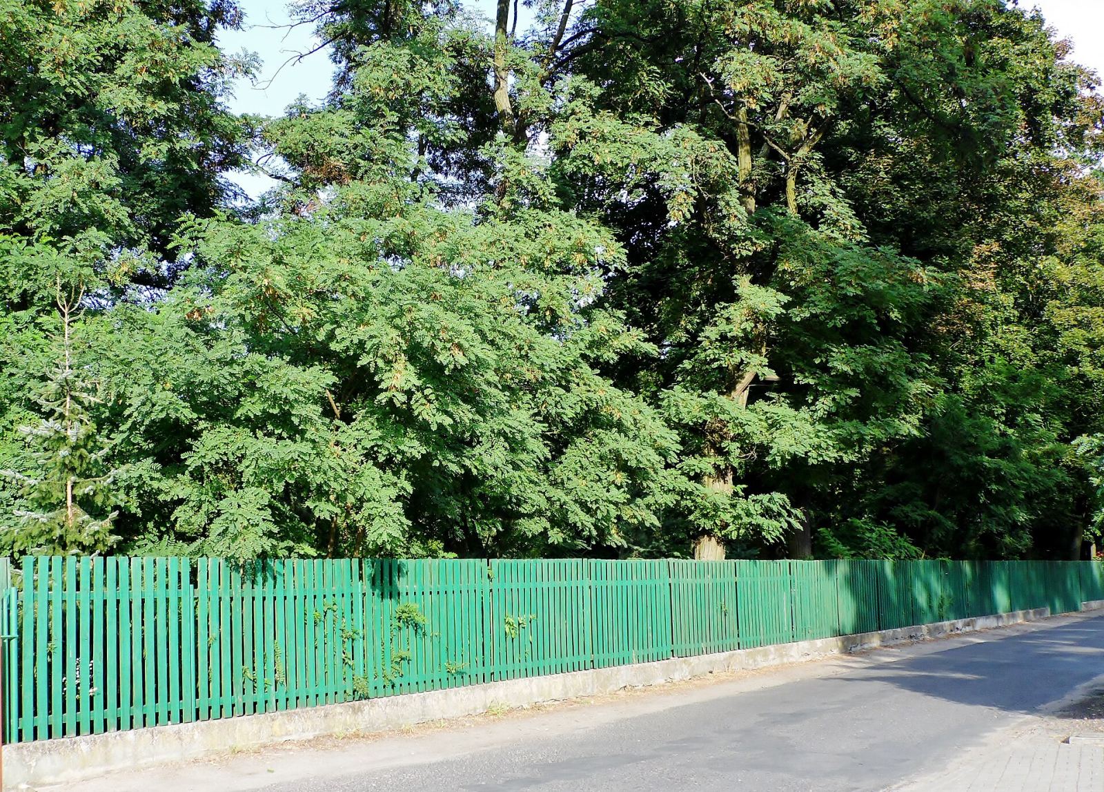 Park, Gołanice