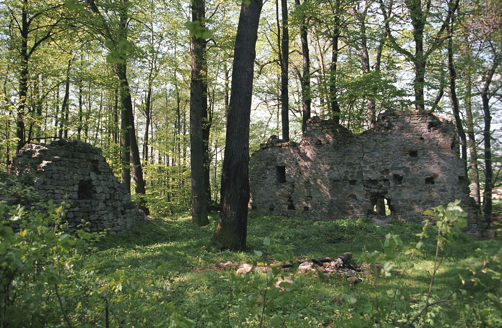 Ruiny zamku, Warta Bolesławiecka
