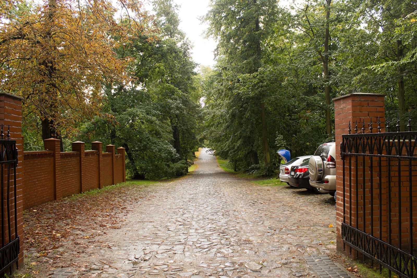 Park, Rzucewo