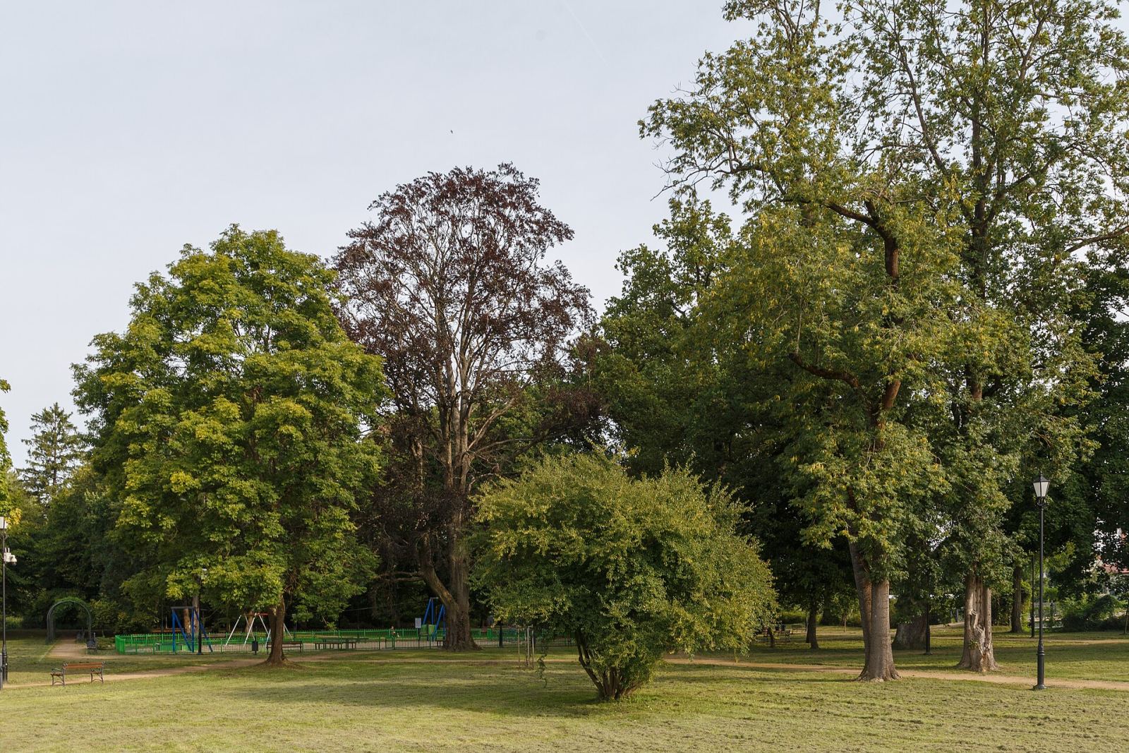 Park dworski, Karlino