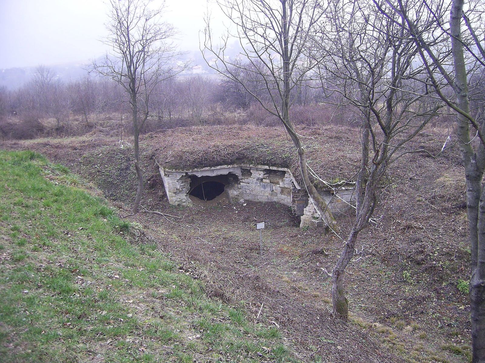 Fort N XVI Zniesienie, Przemyśl