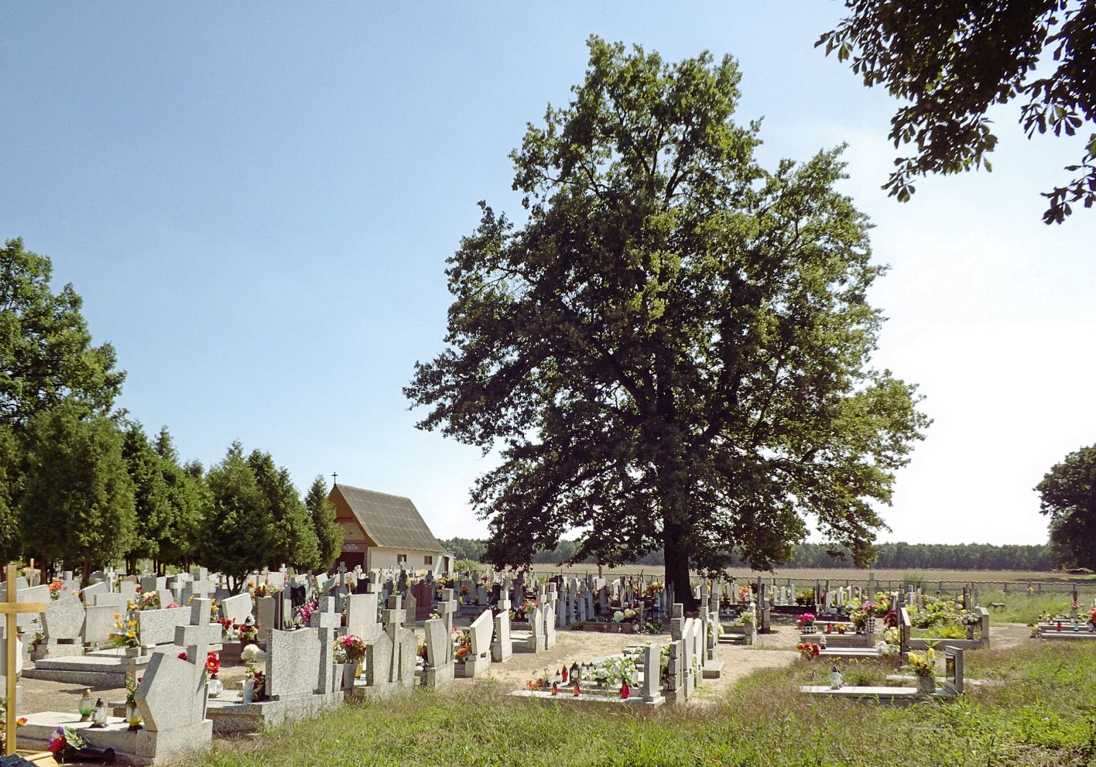 Cmentarz katolicki, Jaktorowo