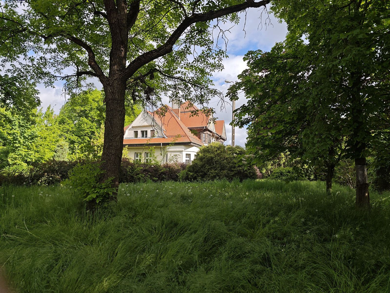 Park, Paczkowo