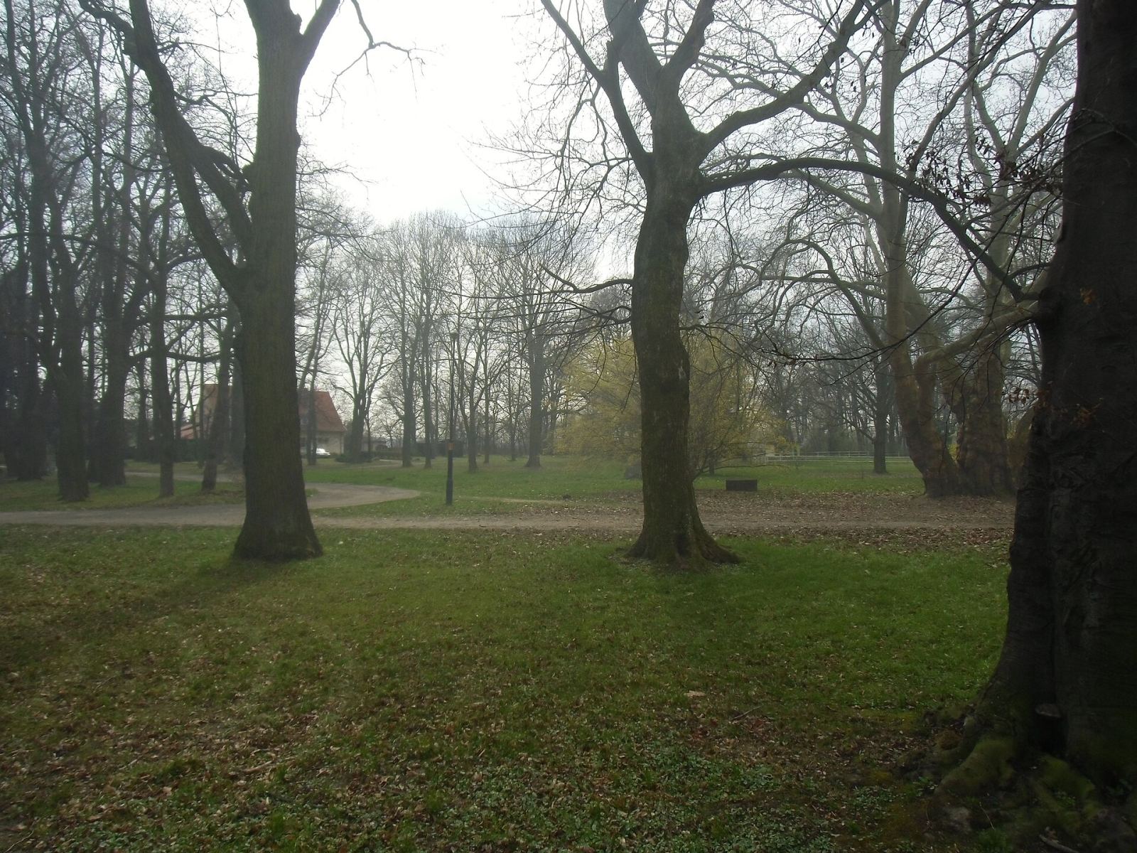 Park, Targoszyn