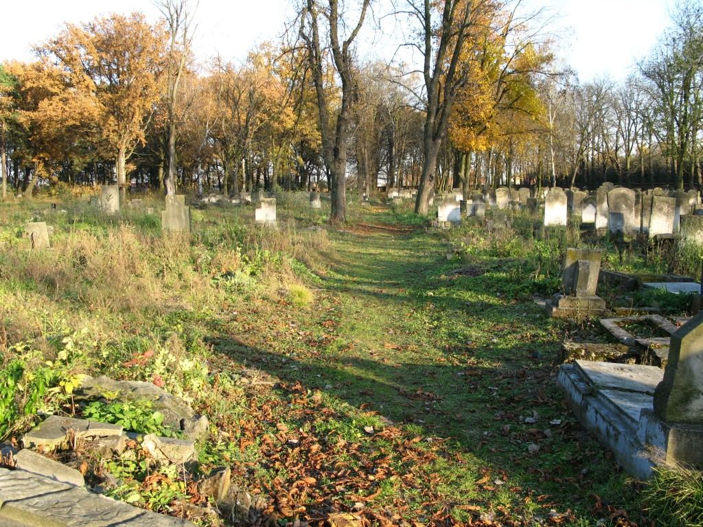 Cmentarz żydowski, Piotrków Trybunalski