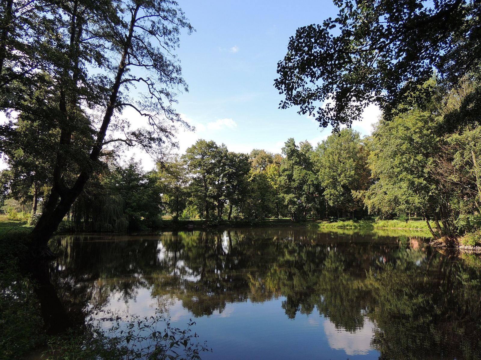 Park przyfabryczny, krajobrazowy, Leśmierz