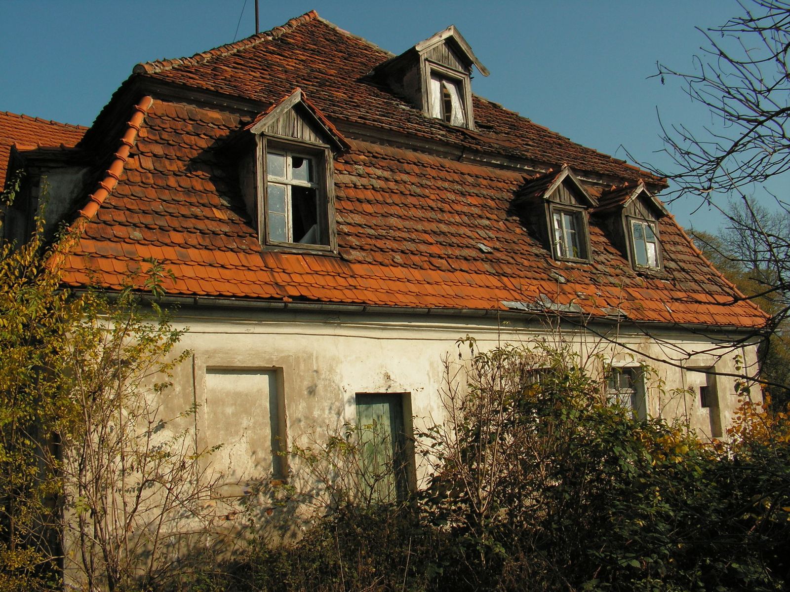 Dwór, Lubosina