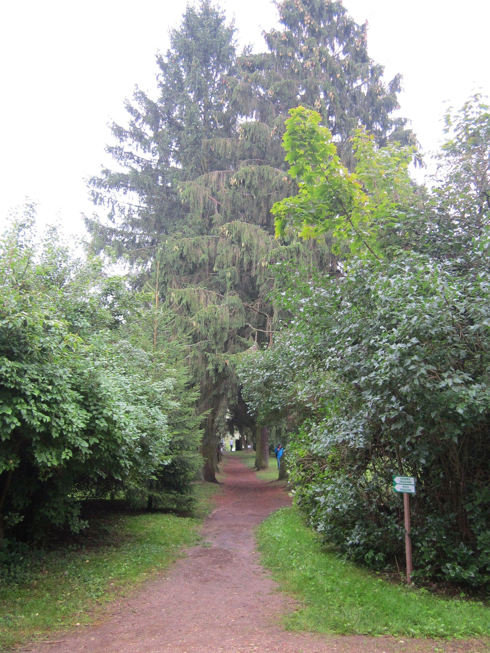 Park, Kurowo