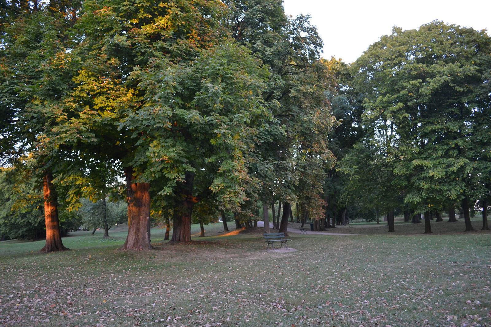 Park, Janowiec