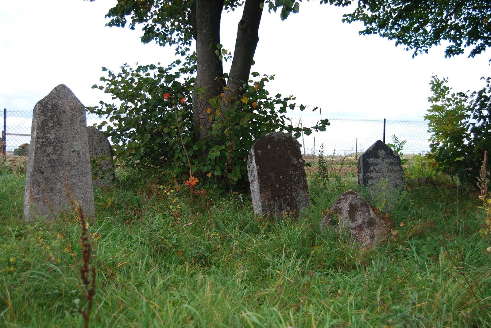 Cmentarz żydowski, Lipsk