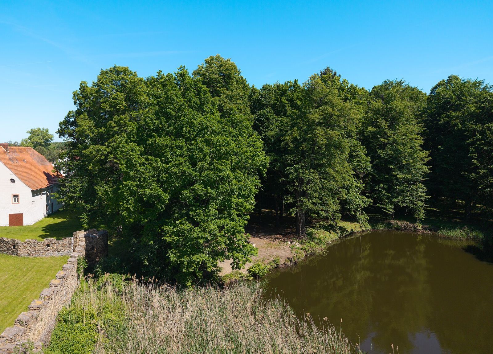 Park, Stoszowice