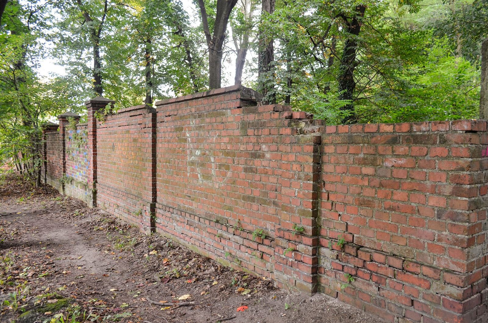 Ogrodzenie, Zielona Góra