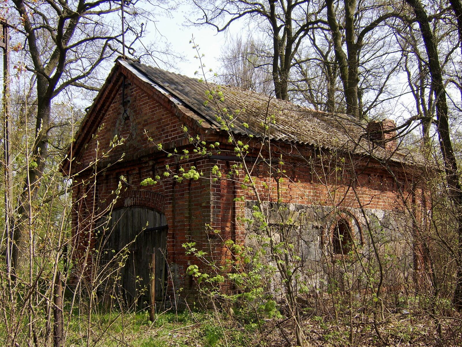 Kuźnia, Trzebcz Szlachecki