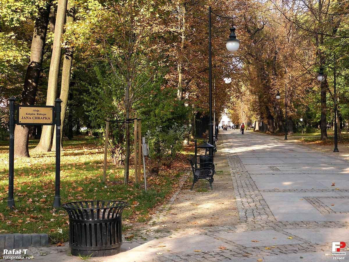 Park miejski im. Tadeusza Kościuszki, Radom