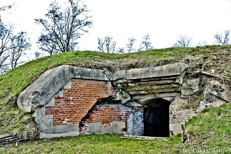 Fort artyleryjski VII 1/2 Tarnawce, Ostrów
